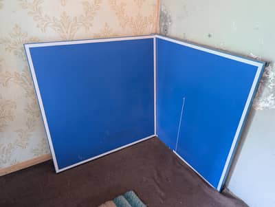Table Tennis