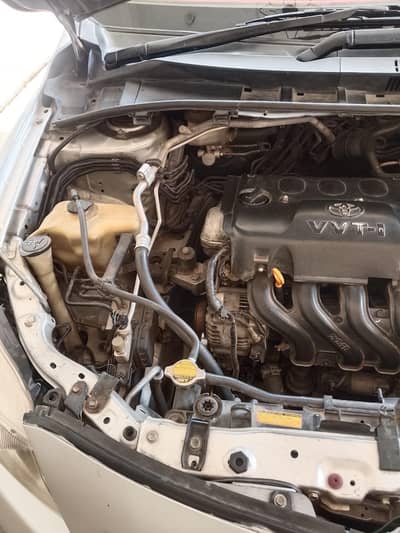Toyota Corolla GLI 2010