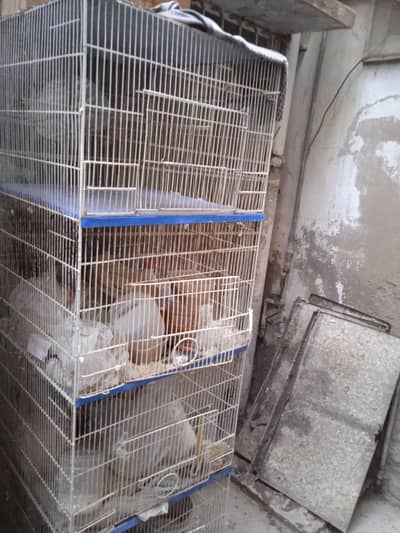 cages 1.5 by 3. ,boxes ,matkies and pots