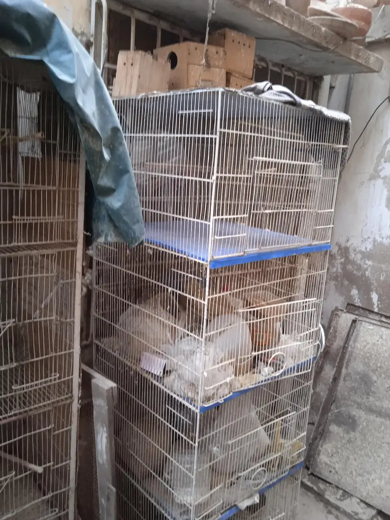 cages 1.5 by 3. ,boxes ,matkies and pots — photo 2