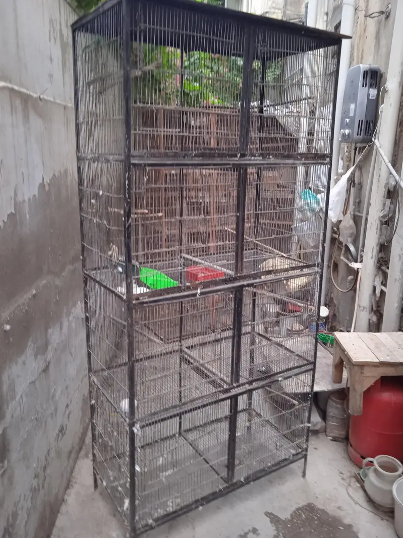 cages 1.5 by 3. ,boxes ,matkies and pots — photo 3
