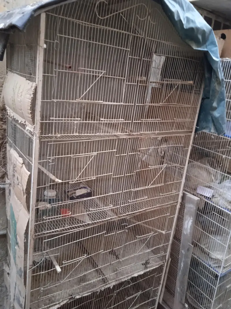 cages 1.5 by 3. ,boxes ,matkies and pots — photo 4