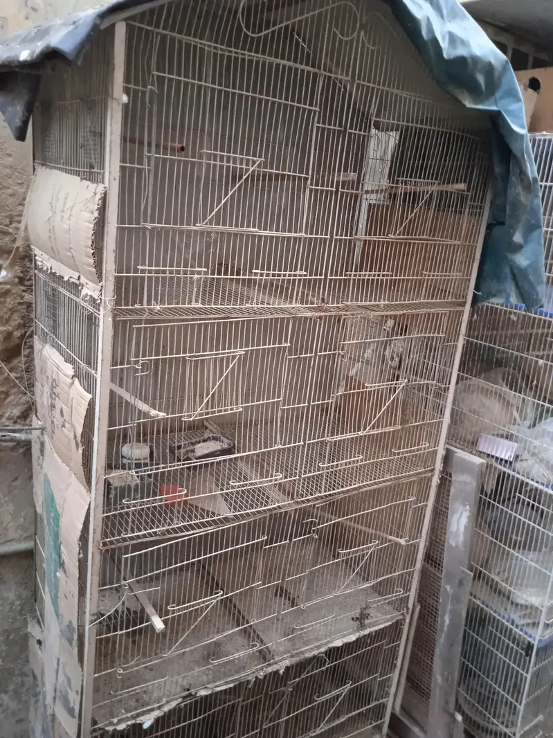 cages 1.5 by 3. ,boxes ,matkies and pots — photo 5