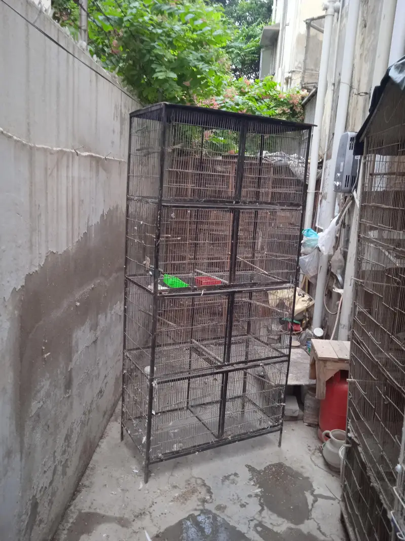 cages 1.5 by 3. ,boxes ,matkies and pots — photo 6
