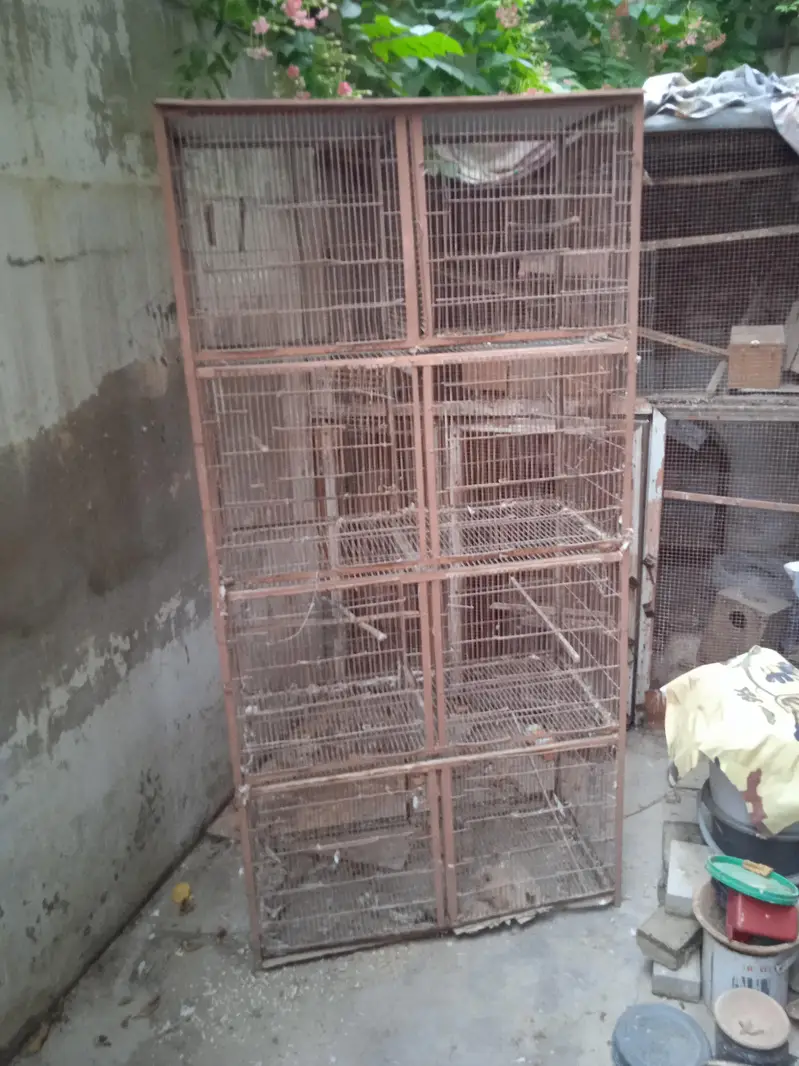 cages 1.5 by 3. ,boxes ,matkies and pots — photo 7