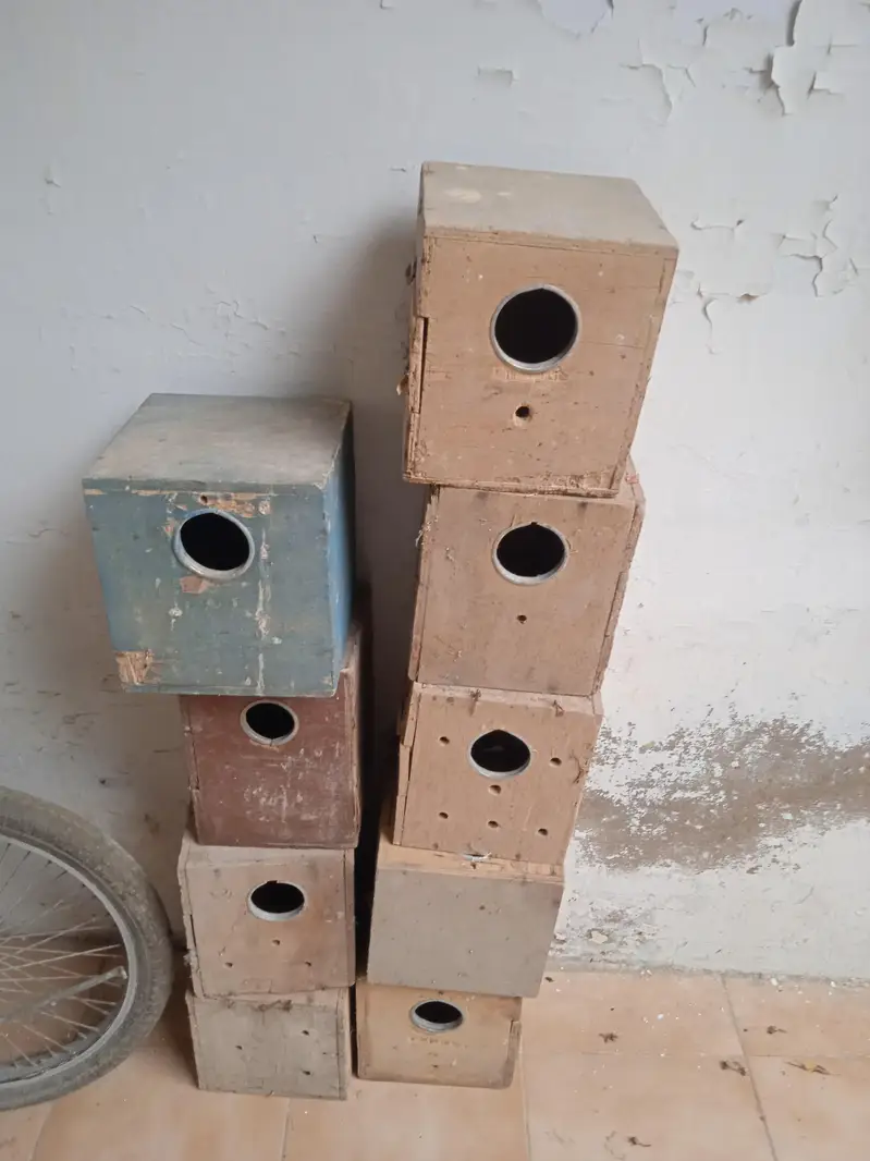 cages 1.5 by 3. ,boxes ,matkies and pots — photo 8