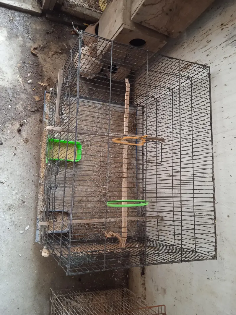 cages 1.5 by 3. ,boxes ,matkies and pots — photo 9