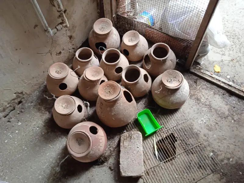 cages 1.5 by 3. ,boxes ,matkies and pots — photo 10