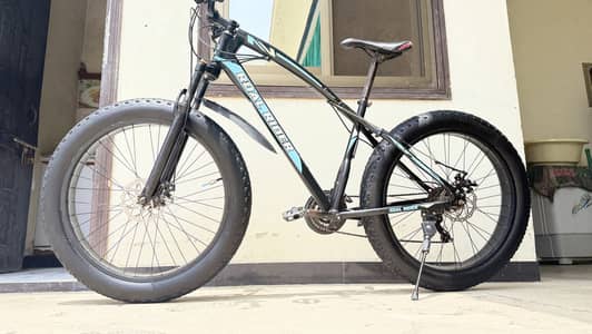 Fat bike cycle