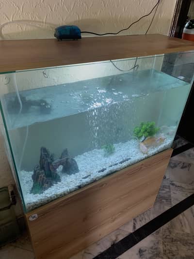 3ft Fish Aquarium