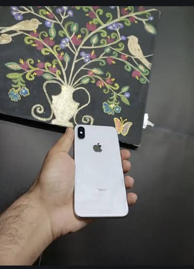 Apple iPhone X