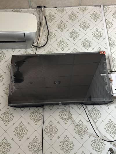 Tcl Qled 43”