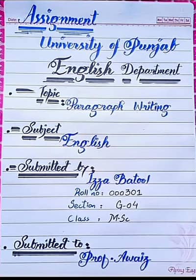 Assignment writing