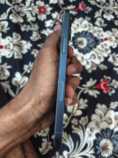 iPhone 13 Pro Max JV