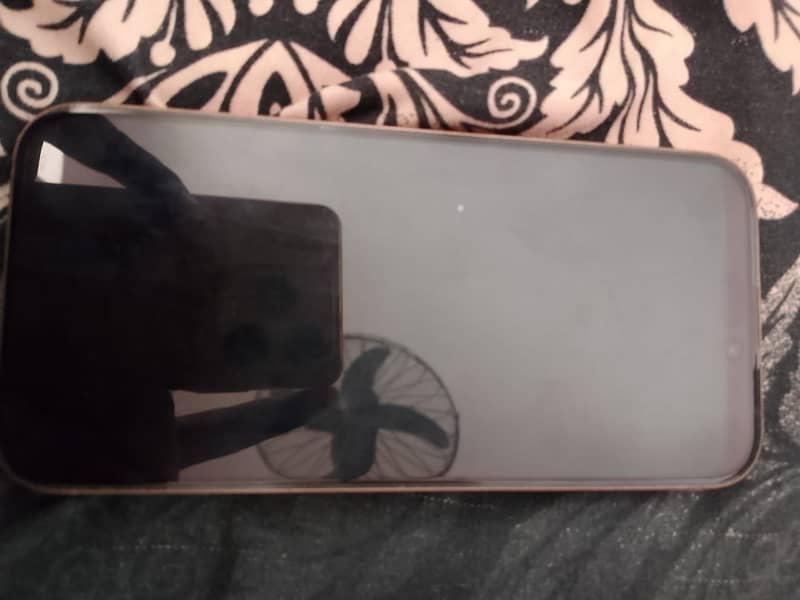 iPhone 16 Pro Max 1