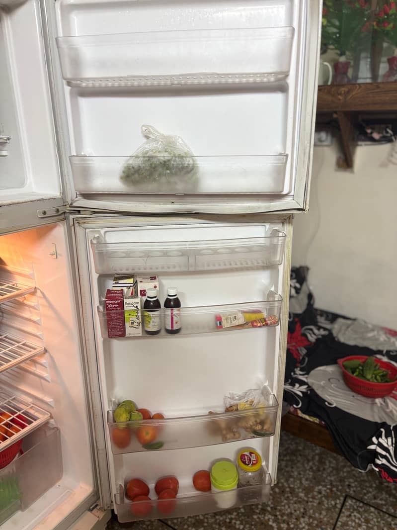 Waves fridge 4