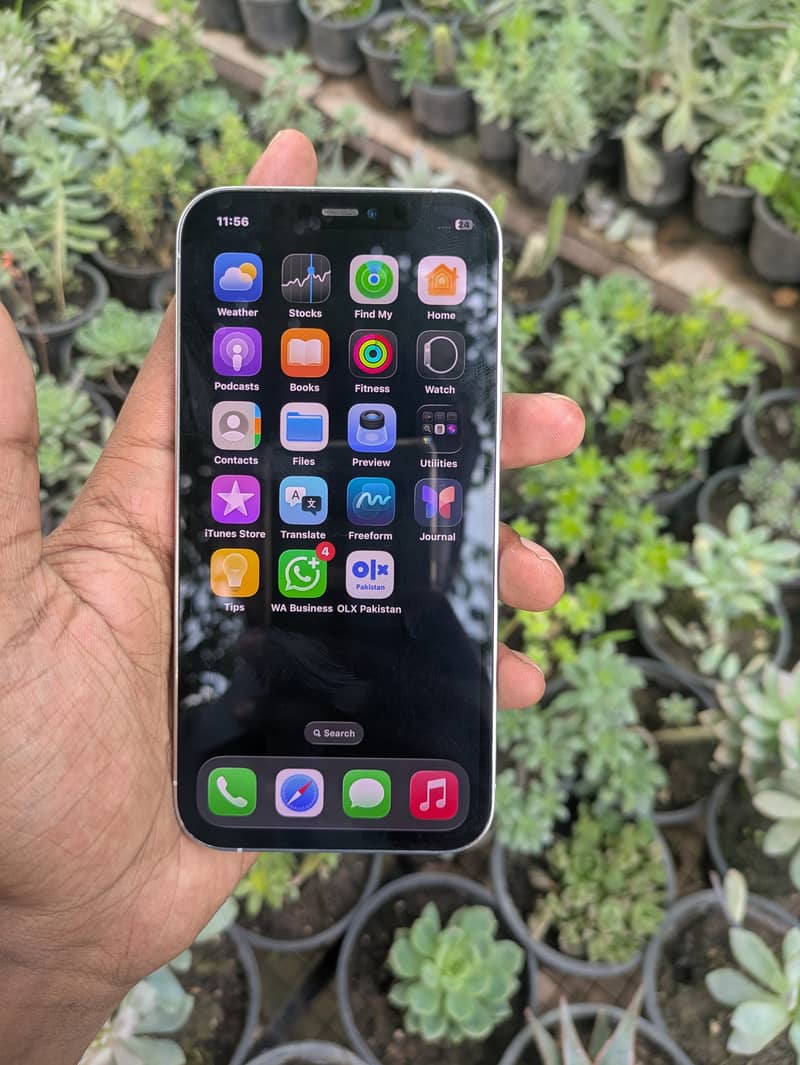 iPhone 12pro 2