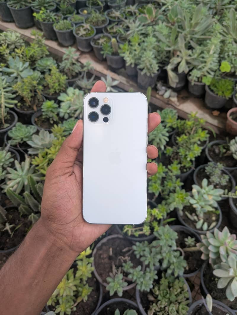 iPhone 12pro 3