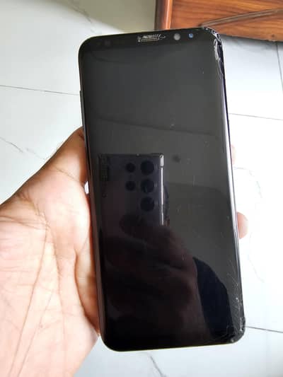 S8 plus dual official