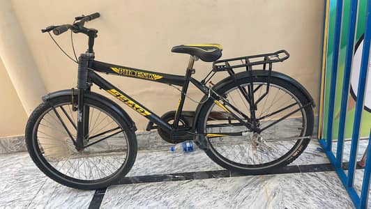 Phoenix commuter bicycle