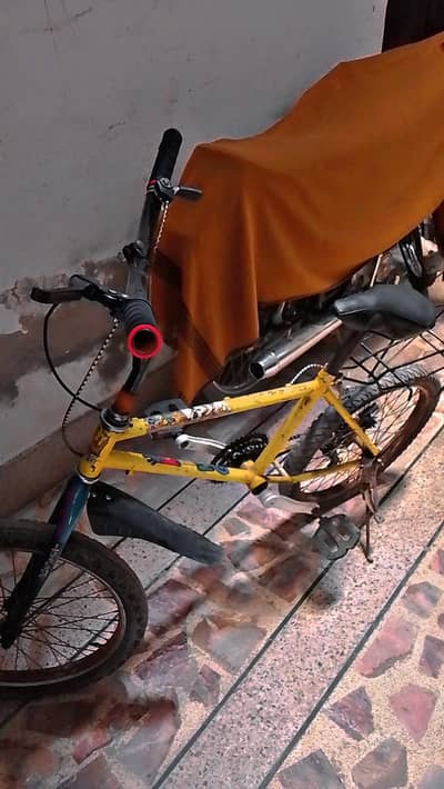 best cycle