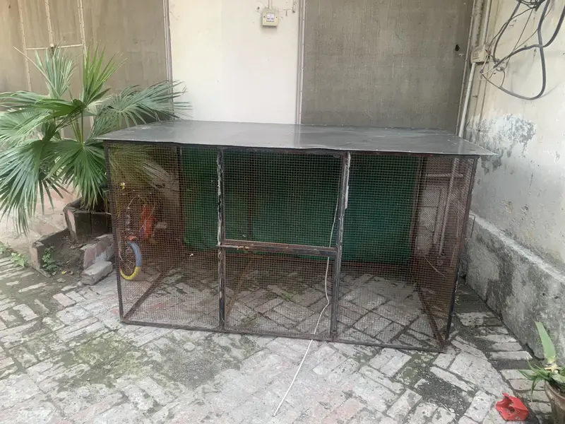 Hen Cage Steel  / Chicken Cage / Murgi ka pinjra — photo 3