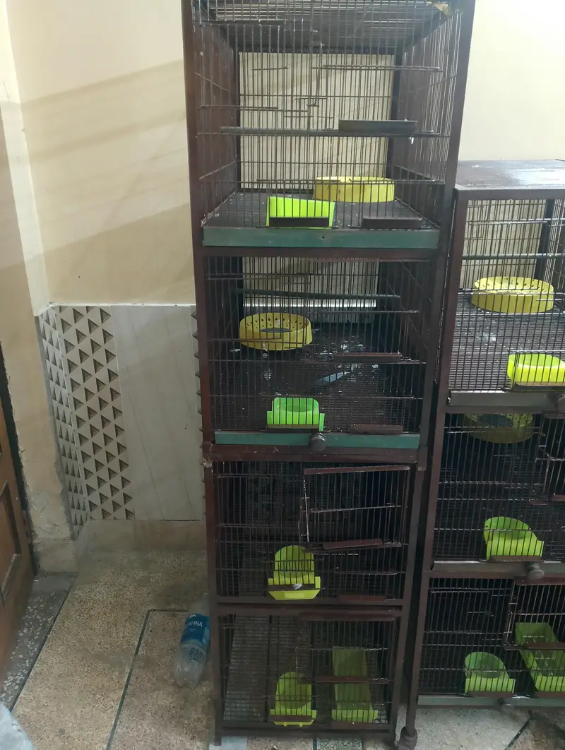 Cage for birds — photo 2