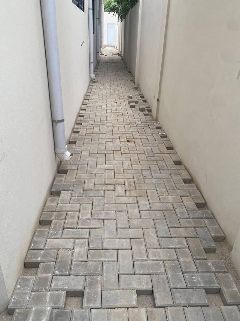 Interlocking City Pevars 1