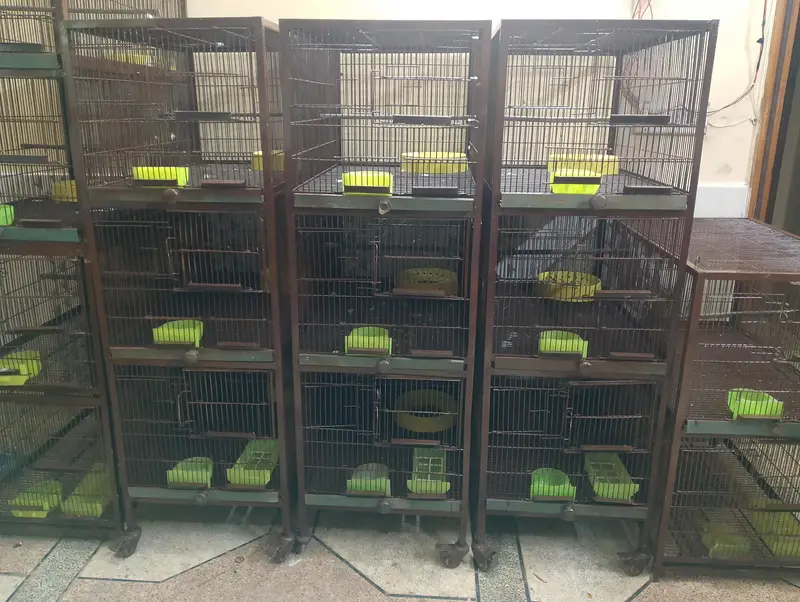 Cage for birds — photo 3