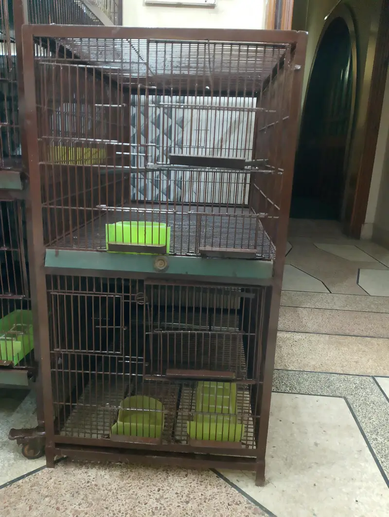 Cage for birds — photo 4