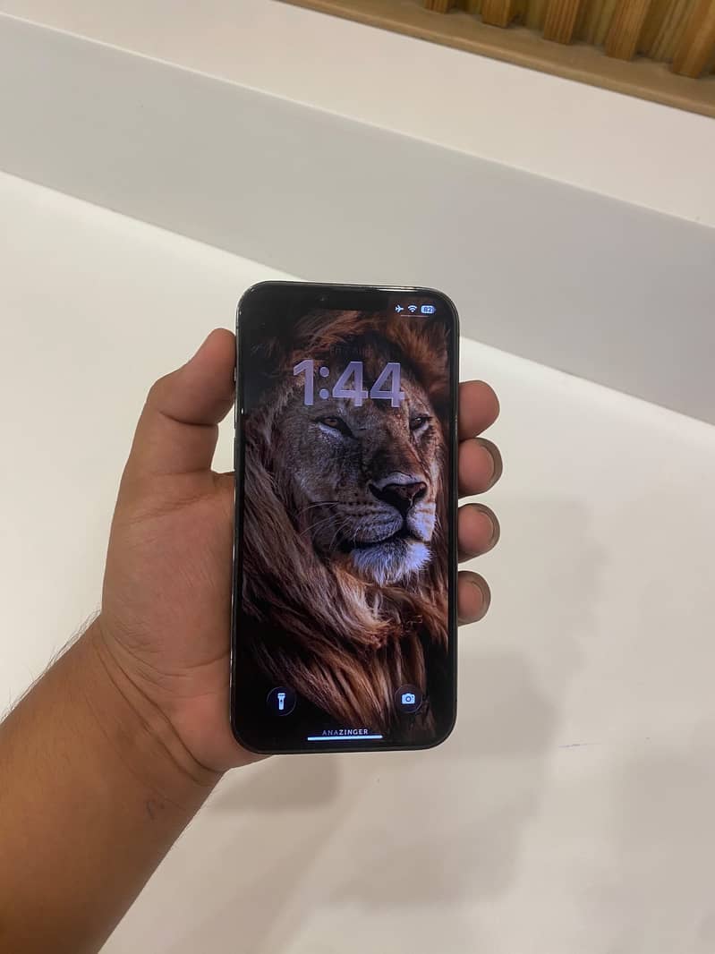 Apple iPhone 13 Pro Max 1
