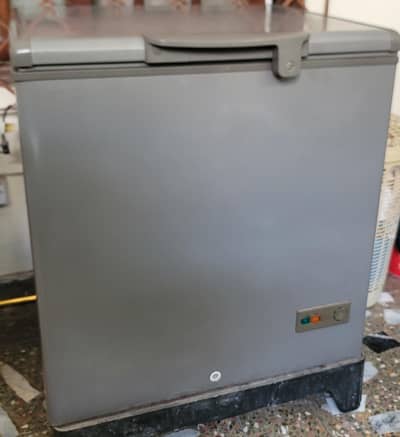 D Freezer