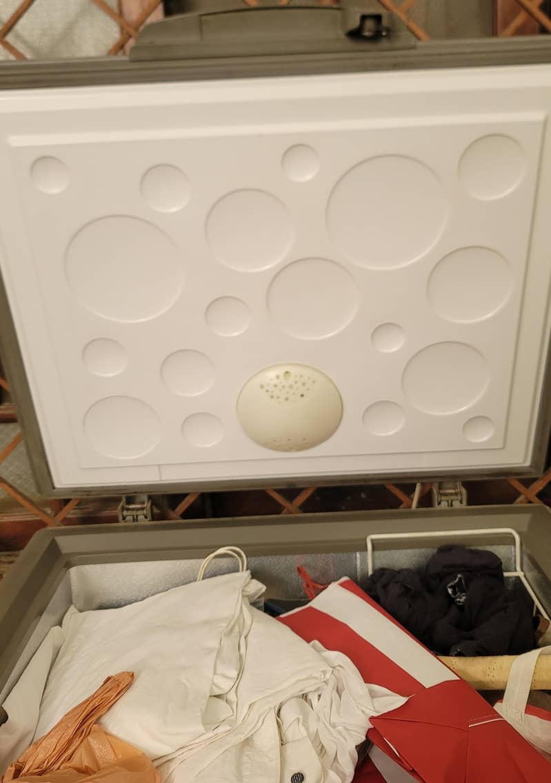 D Freezer 1