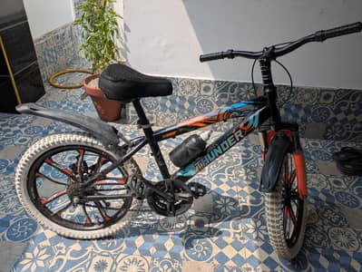 Cycle With Gear System And Rare tyres