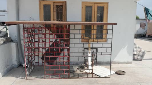 Hens Cage