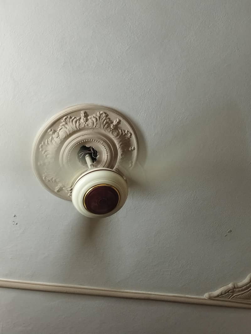 ceiling fan 1