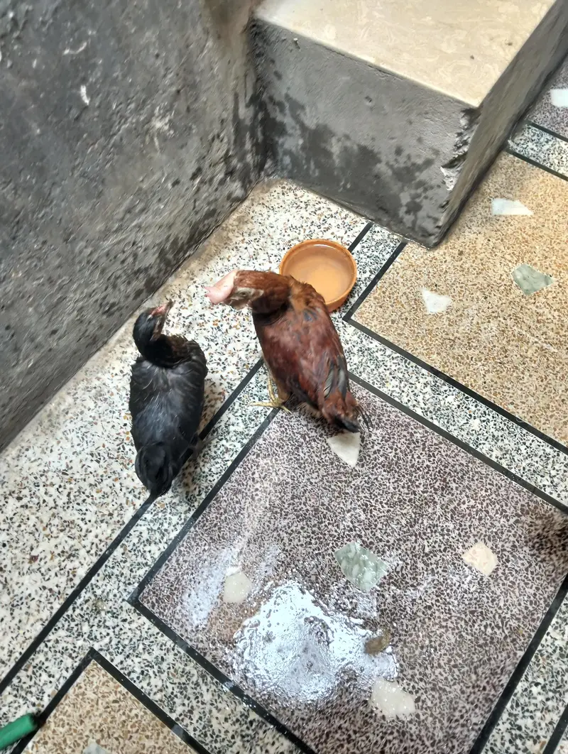 jis ney lyna hai rabta karo — photo 3
