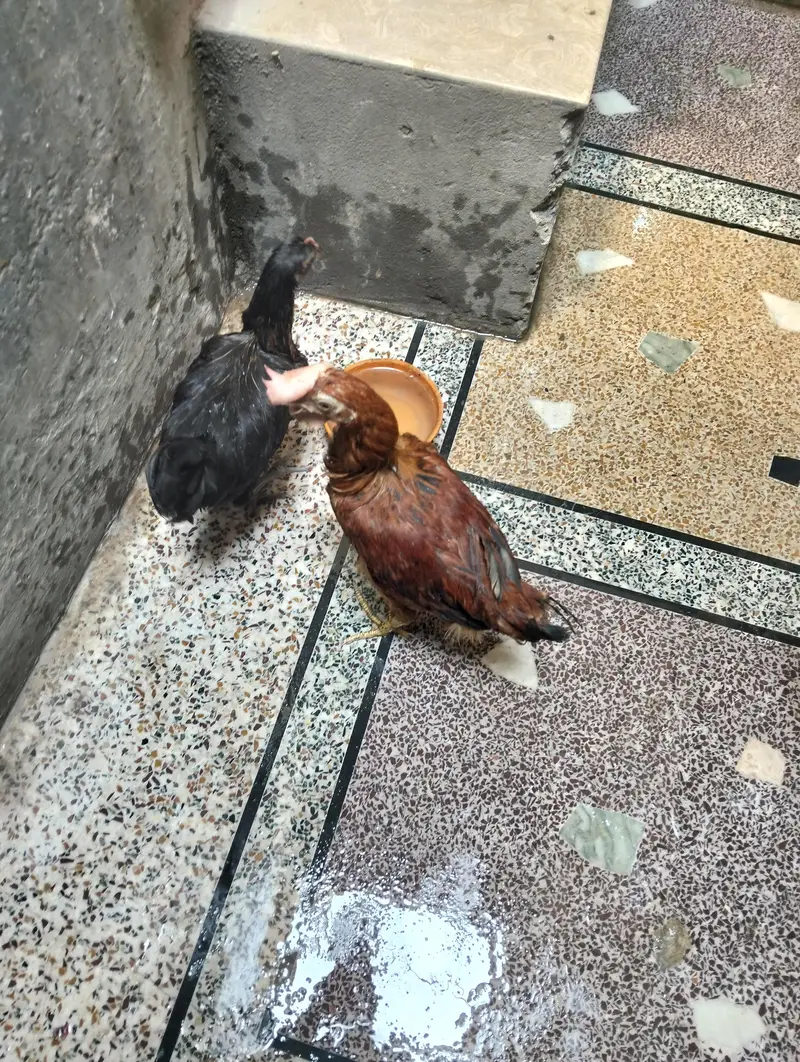 jis ney lyna hai rabta karo — photo 4