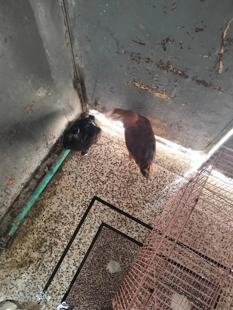 jis ney lyna hai rabta karo — photo 5