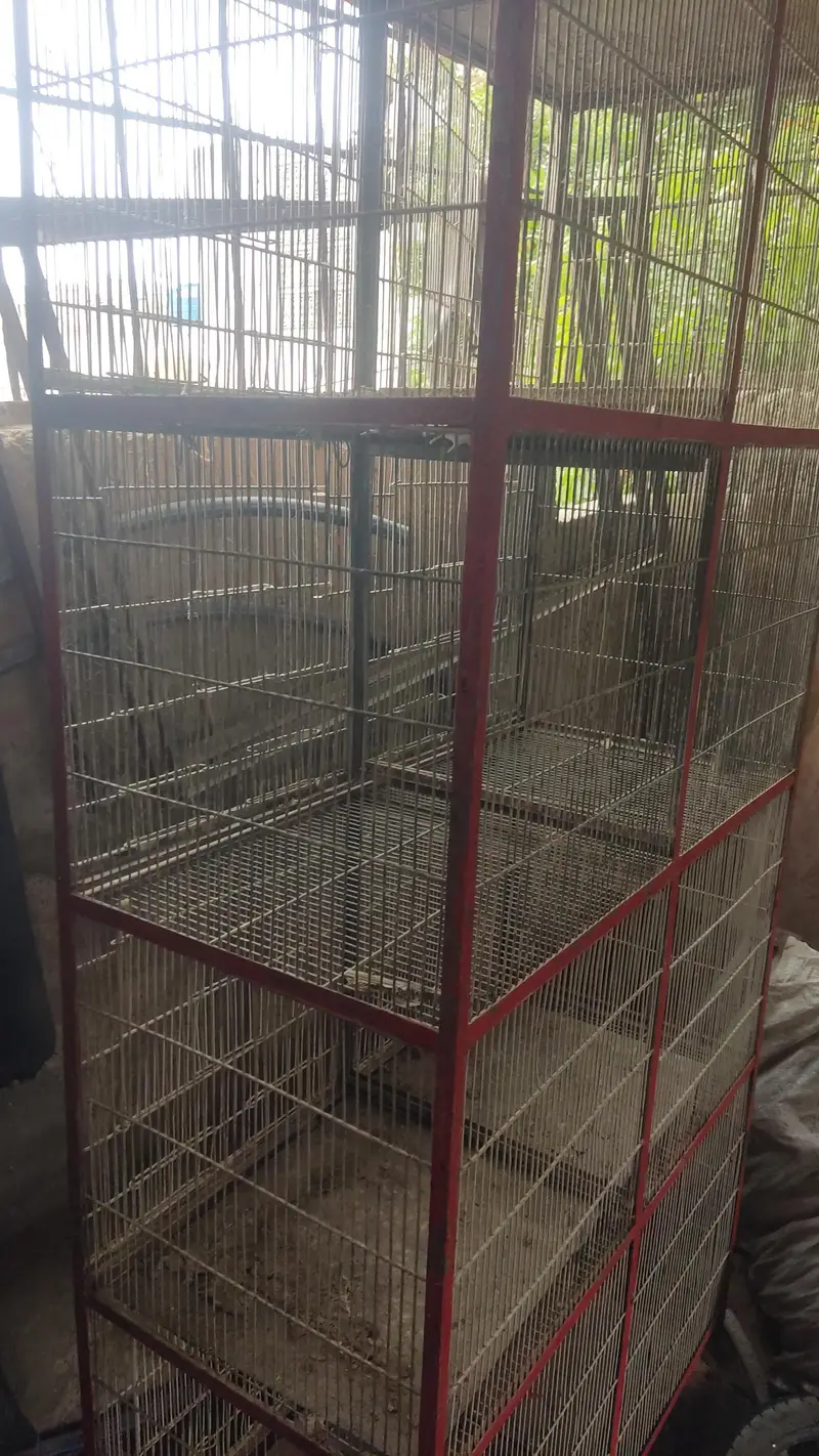 Heavy Duty 8 Portion Bird Cage / Partition Available — photo 2