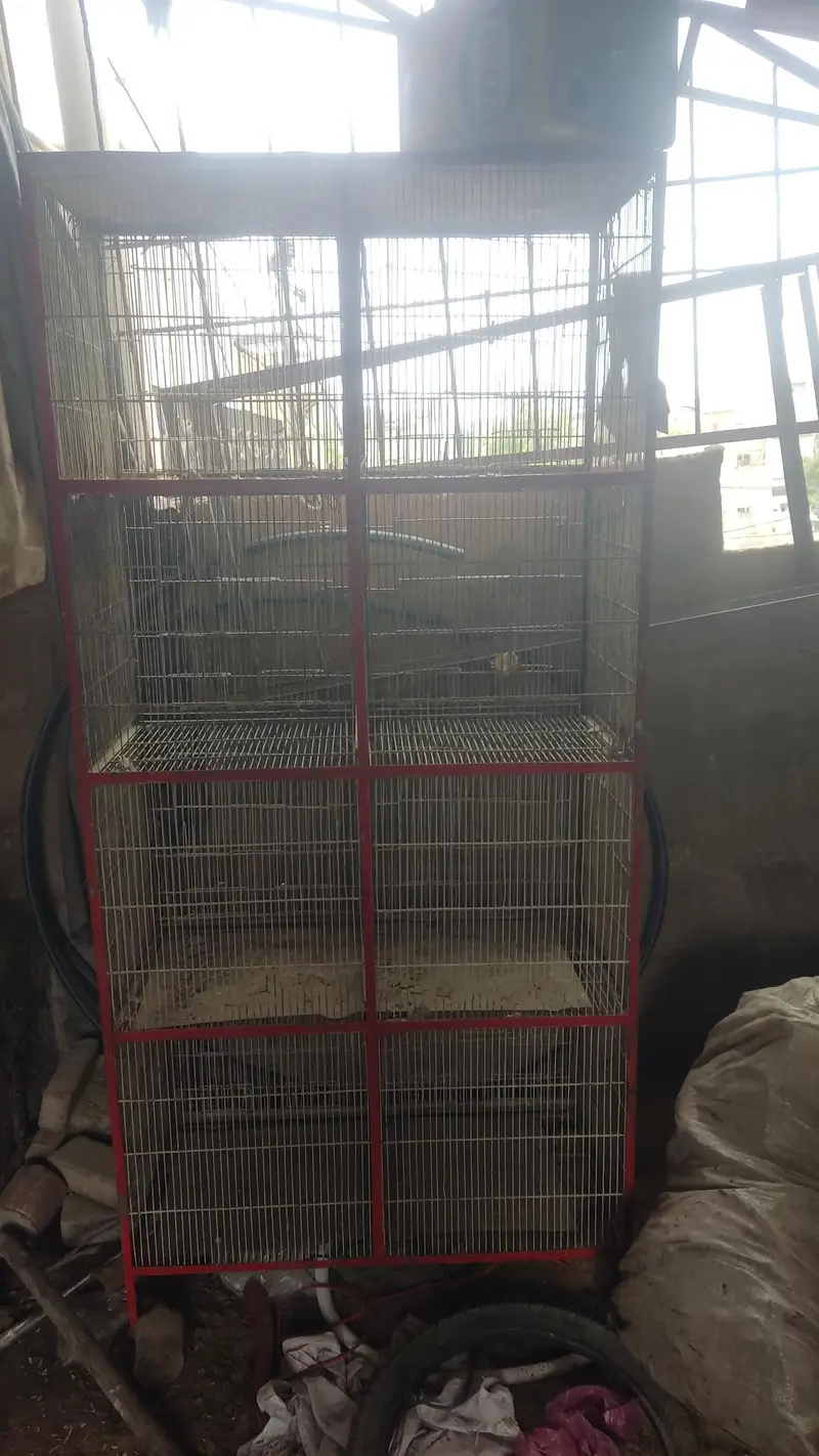 Heavy Duty 8 Portion Bird Cage / Partition Available — photo 3