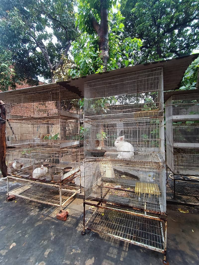 3 Portion Cages 0