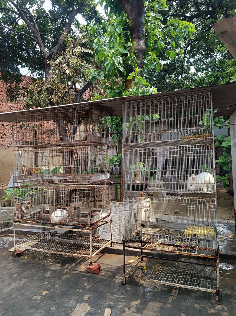 3 Portion Cages 1
