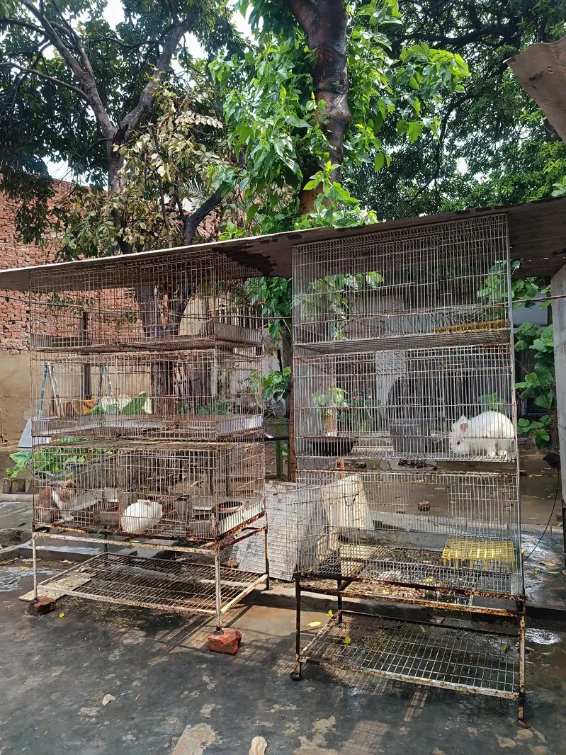 3 Portion Cages — photo 2