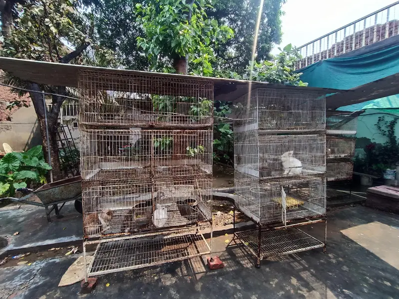 3 Portion Cages — photo 3