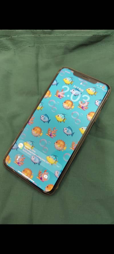 Apple iPhone 11 Pro Max
