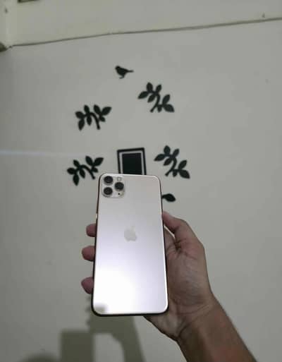 Apple iPhone 11 Pro Max
