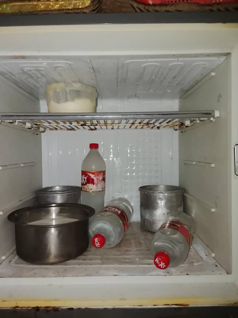 fridge 2