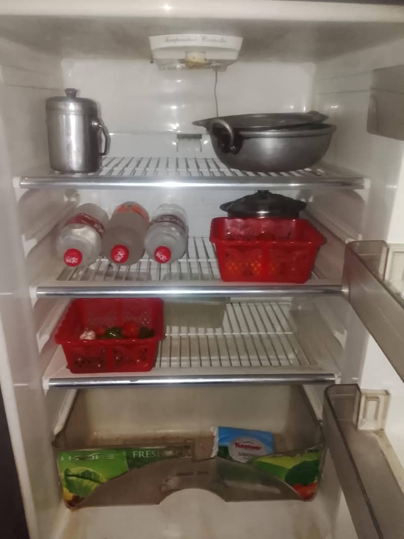 fridge 4