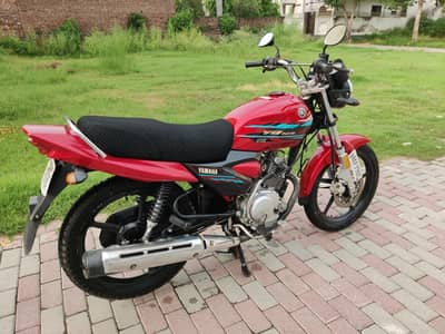 Yamaha YBZ-DX 2022 Model (New Condition)